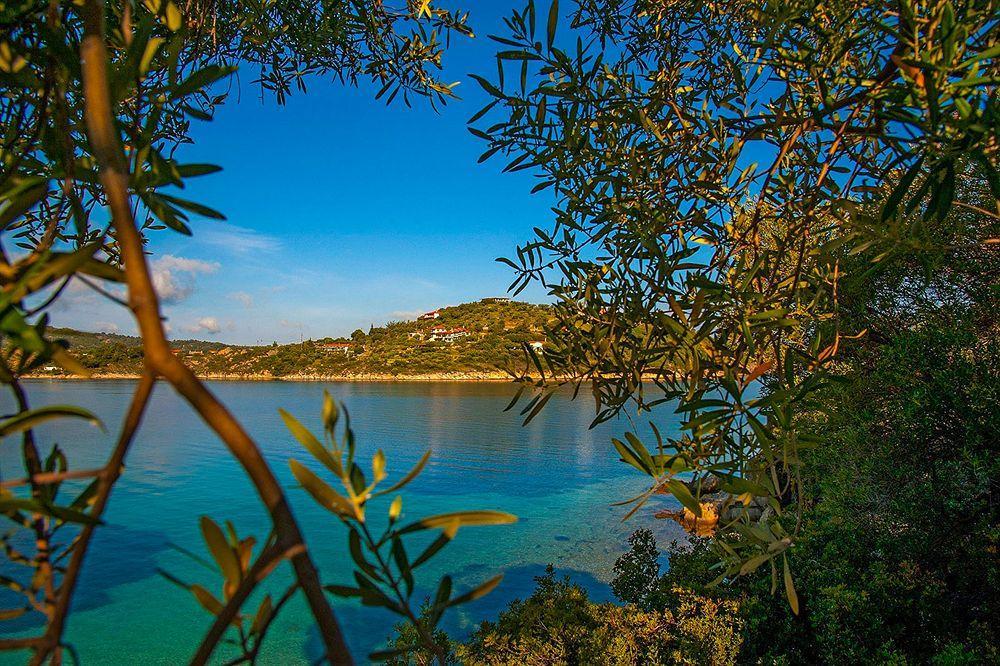 Thalassokipos Vourvourou Luaran gambar